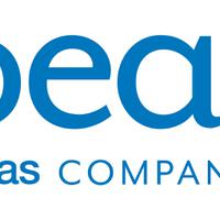 I Dea S 1c 3005 ID d07a306e736e Logo